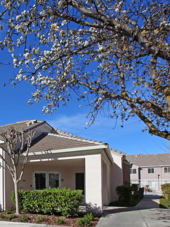 Floor Plans of Glacier Point Apartments in Davis, CA